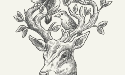 artist-course-07